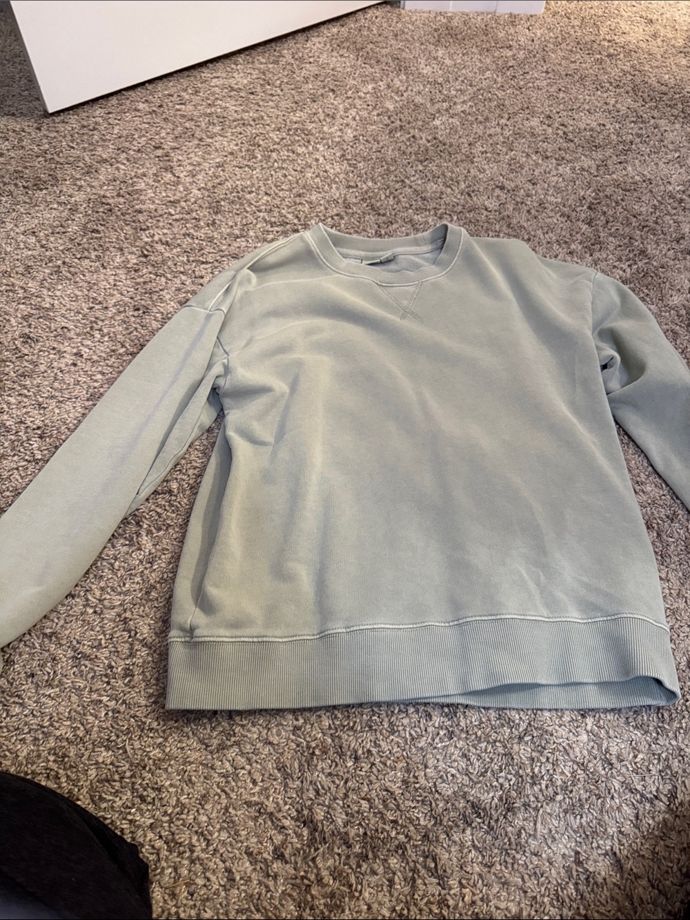 Women’s Crewneck Sweatshirt in Light Sage